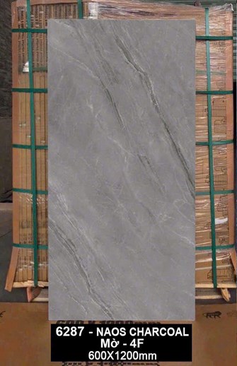 Gạch Ấn Độ 60x120cm 6287 Mờ 