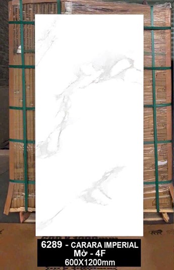 Gạch Ấn Độ 60x120cm 6289 Mờ 