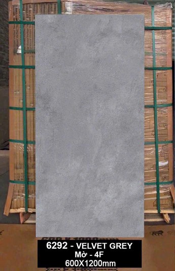 Gạch Ấn Độ 60x120cm 6292 Mờ 