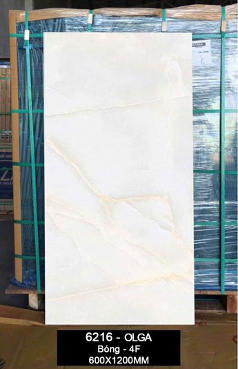 Gạch Ấn Độ 60x120cm  bóng 6216
