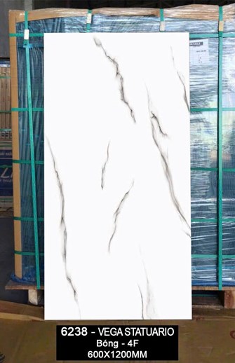 Gạch Ấn Độ 60x120cm bóng 6238