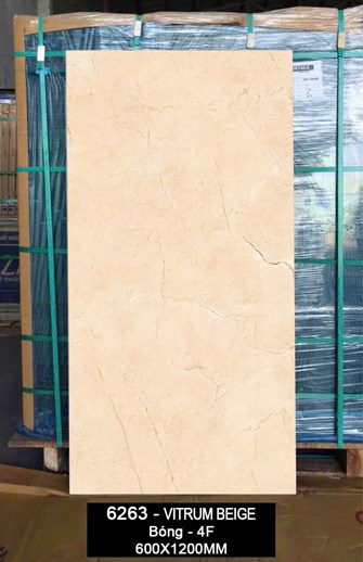 Gạch Ấn Độ 60x120cm  bóng 6263