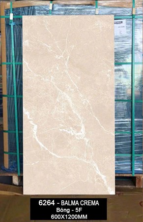 Gạch Ấn Độ 60x120cm  bóng 6264