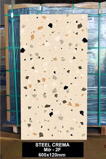 Gạch Ấn Độ 60x120cm Mờ STEELL CREMA