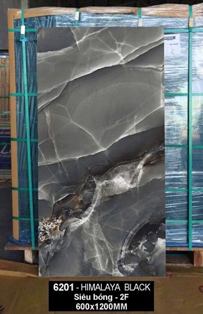 Gạch Ấn Độ 60x120cm siêu bóng 6201