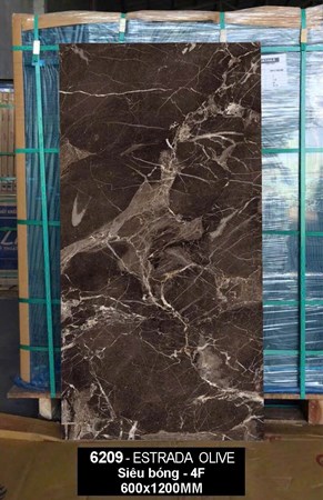 Gạch Ấn Độ 60x120cm siêu bóng 6209