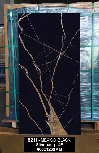 Gạch Ấn Độ 60x120cm siêu bóng 6211