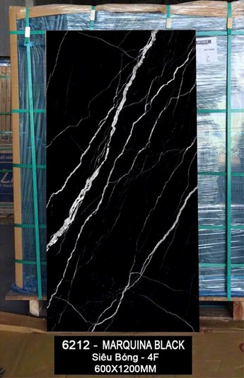 Gạch Ấn Độ 60x120cm siêu bóng 6212