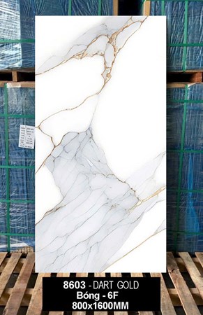 Gạch Ấn Độ 80x160cm 8603 bóng 