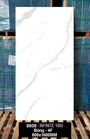 Gạch Ấn Độ 80x160cm 8608 bóng 