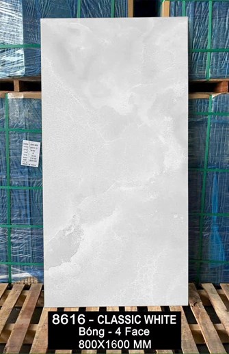 Gạch Ấn Độ 80x160cm 8616 bóng 