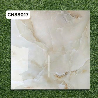 Gạch bóng kiếng 80x80cm TTC - CN88017