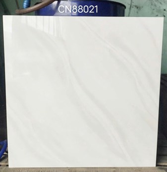 Gạch bóng kiếng 80x80cm TTC - CN88021