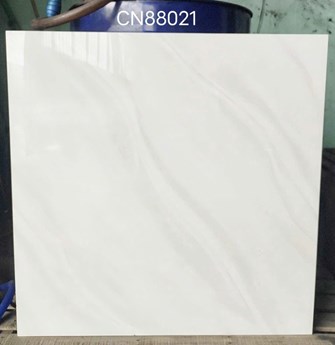 Gạch bóng kiếng 80x80cm TTC - CN88021