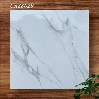 Gạch bóng kiếng 80x80cm TTC - CN88029
