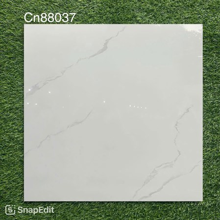 Gạch bóng kiếng 80x80cm TTC - CN88037