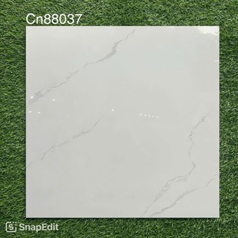 Gạch bóng kiếng 80x80cm TTC - CN88037