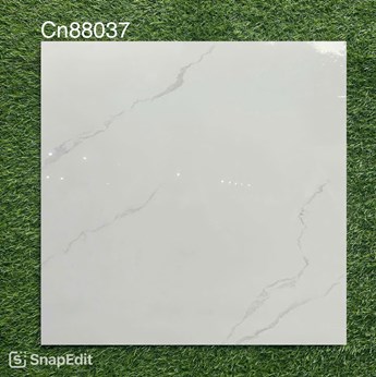 Gạch bóng kiếng 80x80cm TTC - CN88037