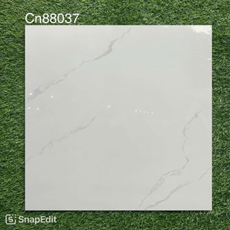 Gạch bóng kiếng 80x80cm TTC - CN88037