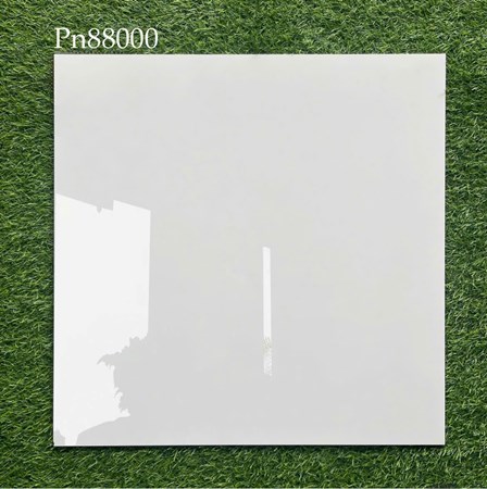 Gạch bóng kiếng 80x80cm TTC - PN88000