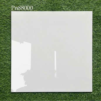 Gạch bóng kiếng 80x80cm TTC - PN88000