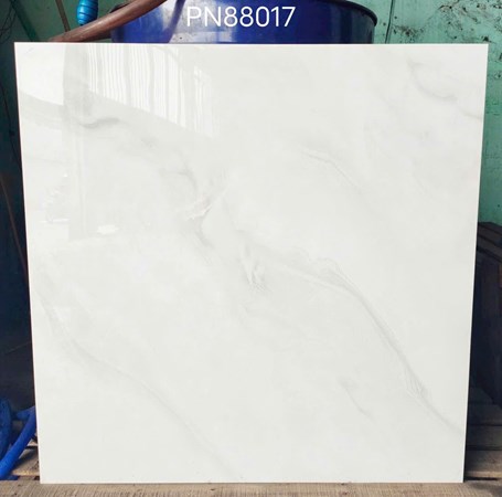 Gạch bóng kiếng 80x80cm TTC - PN88017