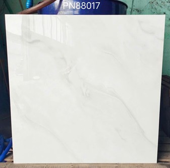Gạch bóng kiếng 80x80cm TTC - PN88017