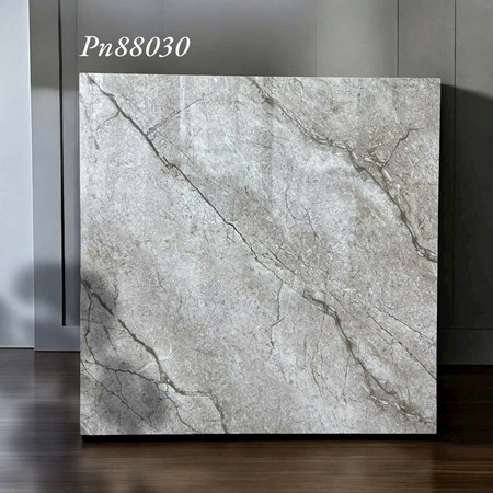 Gạch bóng kiếng 80x80cm TTC - PN88030