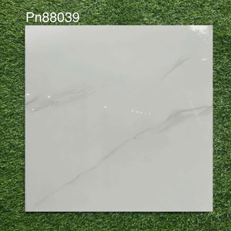 Gạch bóng kiếng 80x80cm TTC - PN88039