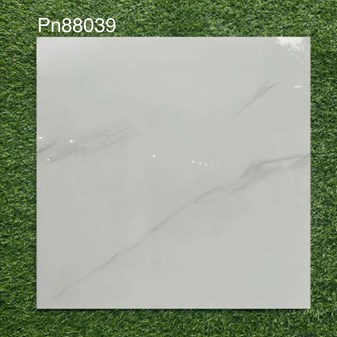Gạch bóng kiếng 80x80cm TTC - PN88039