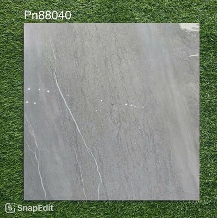 Gạch bóng kiếng 80x80cm TTC - PN88040