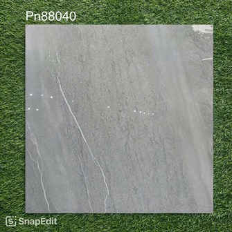 Gạch bóng kiếng 80x80cm TTC - PN88040