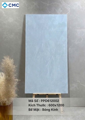 Gạch CMC 60x120cm bóng  PPD612002