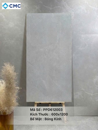 Gạch CMC 60x120cm Mờ PPM612004