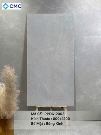 Gạch CMC 60x120cm Mờ PPM612004