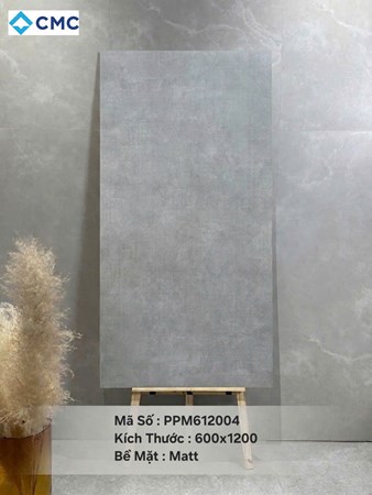 Gạch CMC 60x120cm Mờ PPM612005