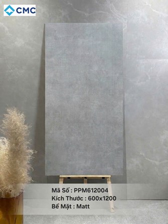 Gạch CMC 60x120cm Mờ PPM612005