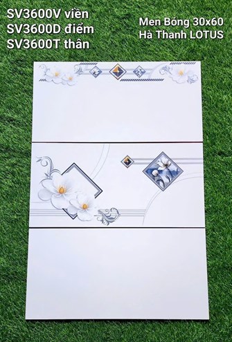 Gạch Hà Thanh 30x60cm SV3600 men bóng 