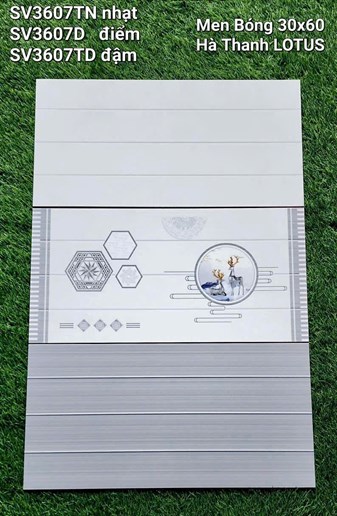 Gạch Hà Thanh 30x60cm SV3607 men bóng 