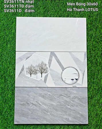Gạch Hà Thanh 30x60cm SV3611 men bóng 