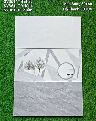 Gạch Hà Thanh 30x60cm SV3611 men bóng 