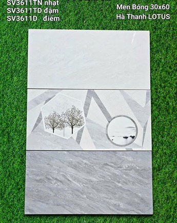 Gạch Hà Thanh 30x60cm SV3611 men bóng 