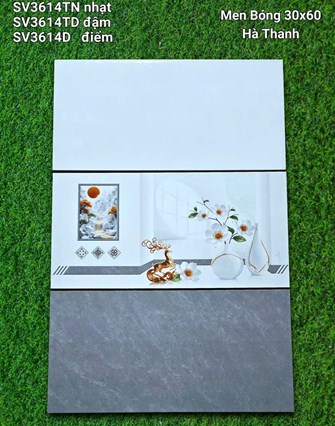 Gạch Hà Thanh 30x60cm SV3614 men bóng 