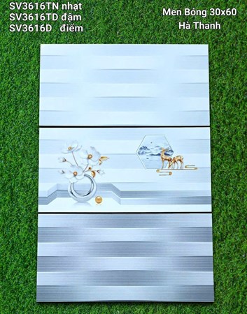 Gạch Hà Thanh 30x60cm SV3616 men bóng 