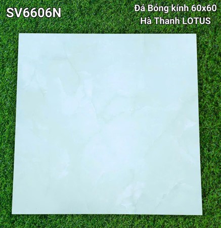 Gạch Hà Thanh 60x60cm SV6606N Bóng 