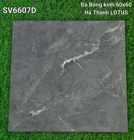 Gạch Hà Thanh 60x60cm SV6607D Bóng 