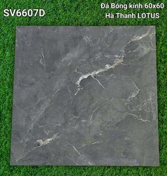 Gạch Hà Thanh 60x60cm SV6607D Bóng 