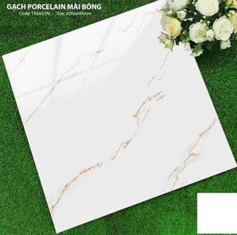 Gạch Hà Thanh 60x60cm TK6651N Bóng