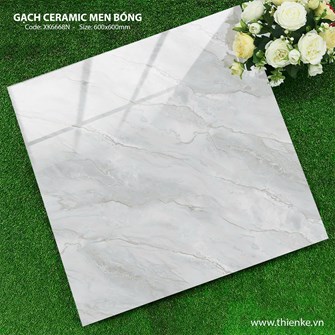 Gạch Hà Thanh 60x60cm TK6668N Bóng