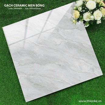 Gạch Hà Thanh 60x60cm TK6668N Bóng